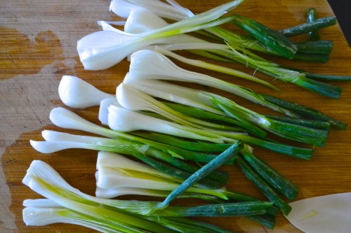 spring onions