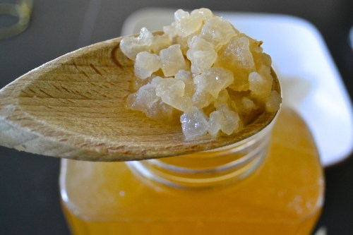 Water kefir grains after rehydration