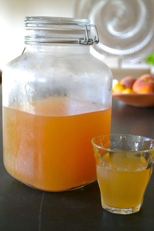 water kefir