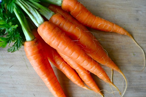 carrots bunch