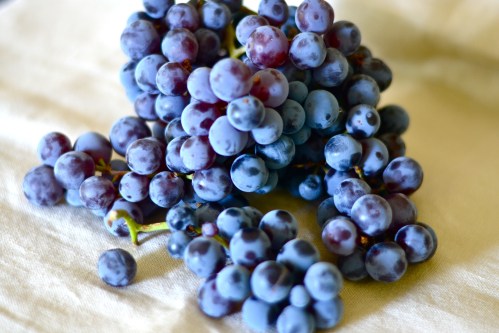 grapes