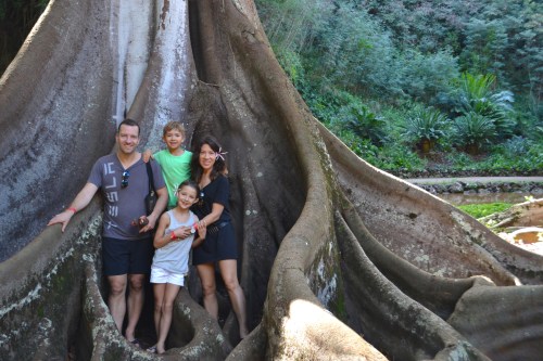A little perspective on the size of the trees (and next year's holiday card photo?).